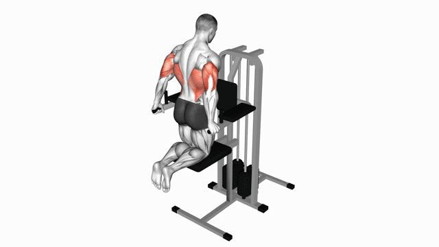 Assisted Triceps Dip (kneeling)