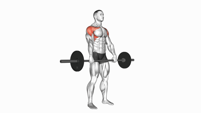 Barbell Front Raise