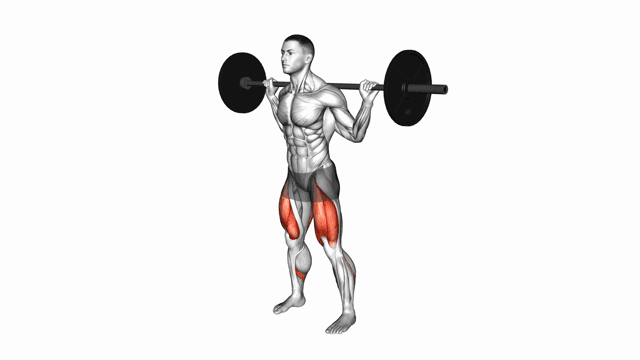 Barbell squat