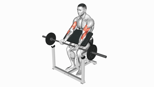 Barbell preacher curl