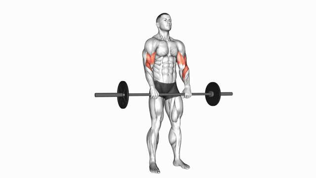 Barbell reverse biceps curl