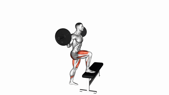 Barbell Step Up Balance On Box