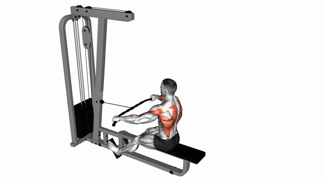 Seated normal grip row machine