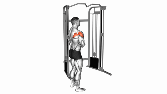 Cable Shoulder External Rotation