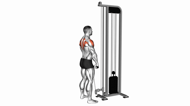 Cable upright row with straight bar