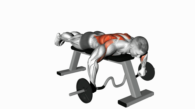 Cambered Bar Lying Row