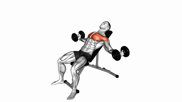 Dumbbell Incline Fly