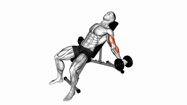 Dumbbell Incline Simultaneous Curl