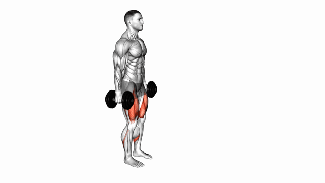 Dumbell lunges on the spot