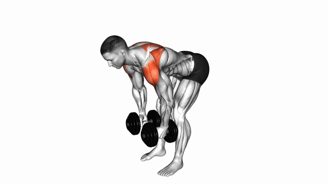 Bent over rear delt fly dumbell