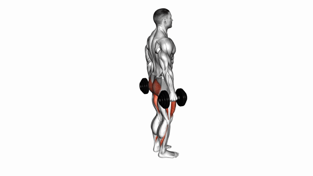 Dumbbell Rear Lunge
