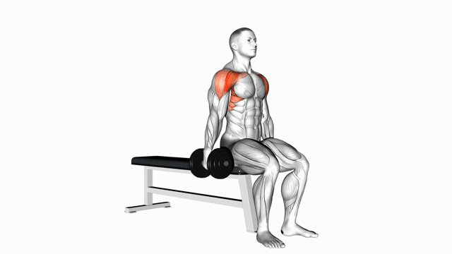 Dumbbell Seated Alternate Front Raise