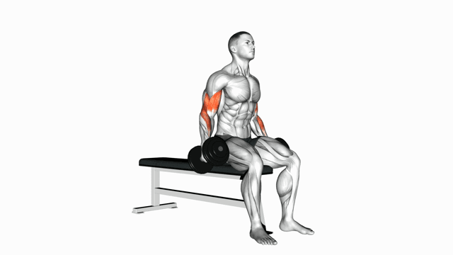 Dumbbell Seated Curl