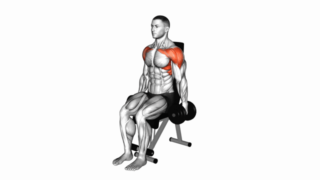 Dumbbell Seated Front Raise