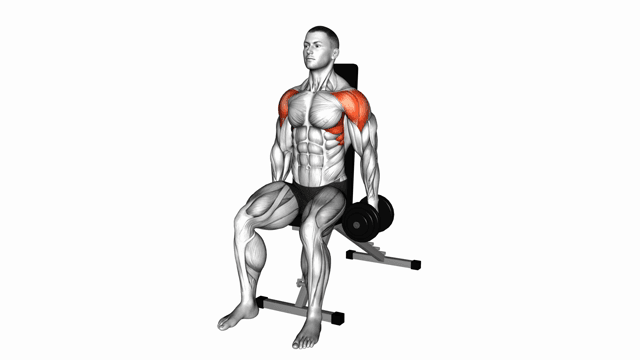 Dumbbell Seated Lateral Raise