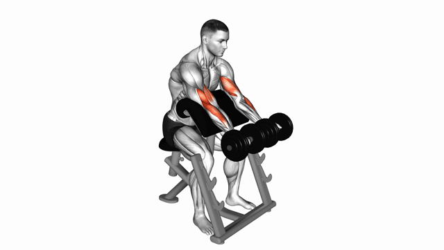 Dumbbell Seated Preacher Curl