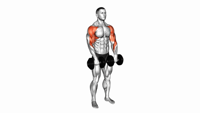 Dumbbell Upright Row