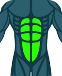 Abdominals