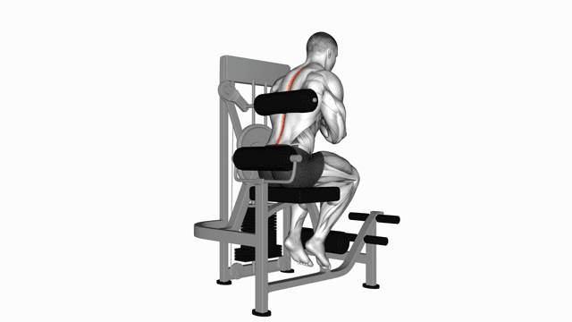 Lever Back Extension