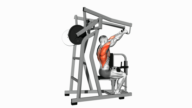 Strength Plate Loaded High Row Both Arms