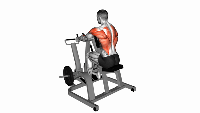 Lever Seated Row Plate Loaded (neutral grip)
