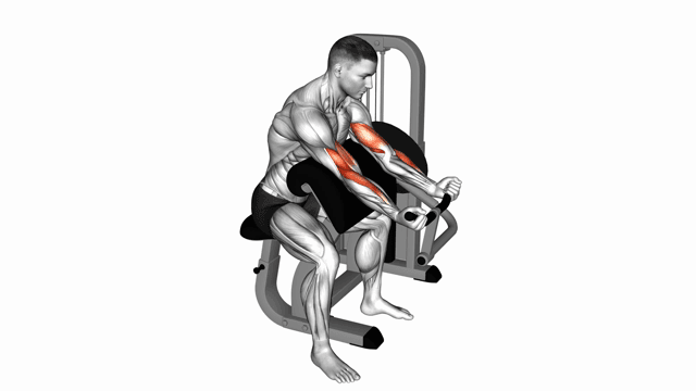 Lever Preacher Curl
