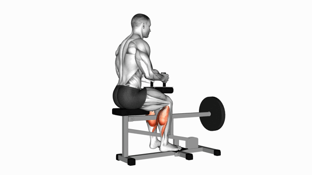 Seated calf machine