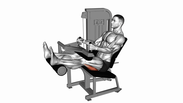 Seated leg curl machine