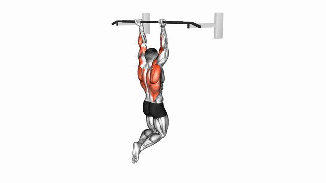 Pull Up reverse grip