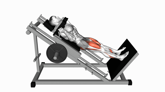 Hack Squat Machine