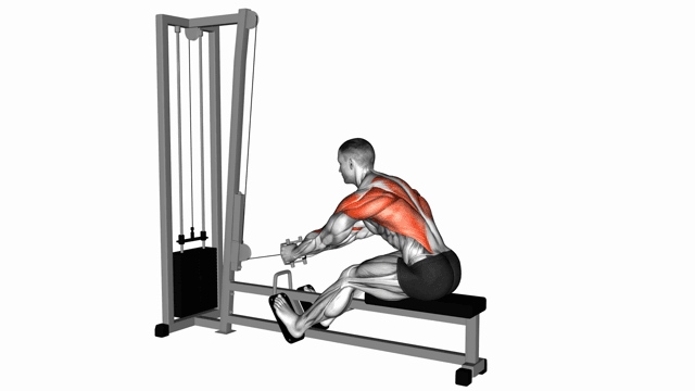 Seated Cable row (close grip)