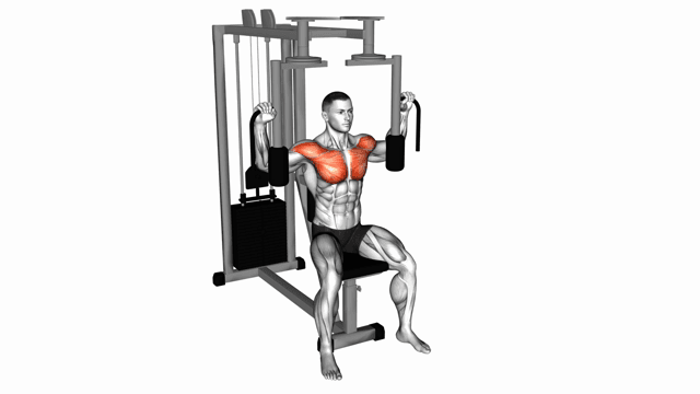 Peck deck fly machine