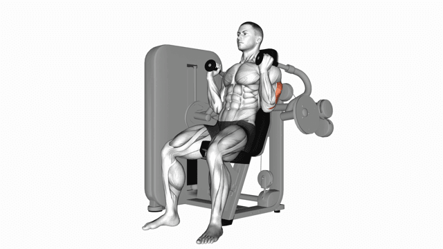 Lever Triceps Extension