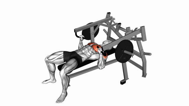 Lever Lying Chest Press