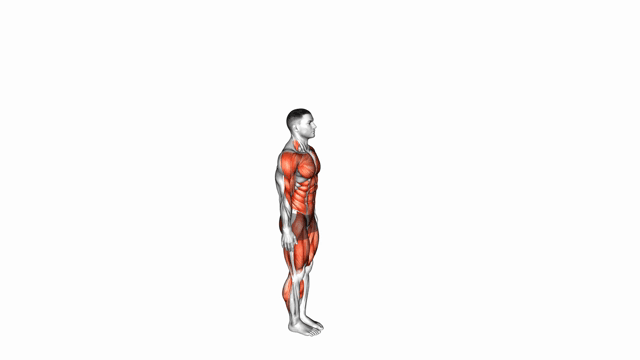 Burpee