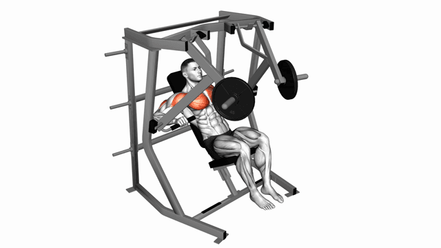 Lever Decline Chest Press