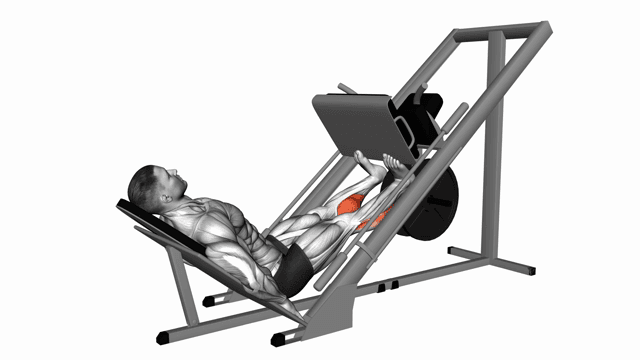 Calf raise leg press machine