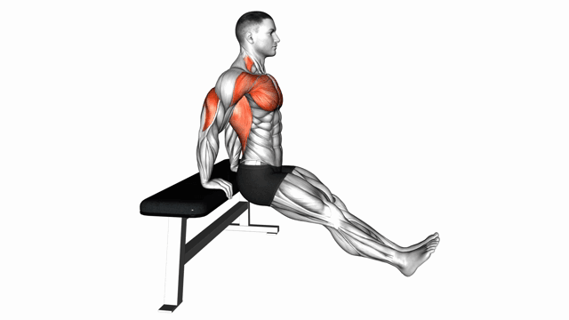 Bench Triceps Dip straight legs