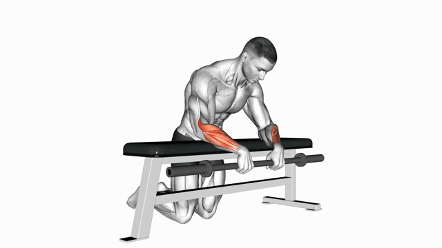 Barbell palm down wrist curl over a bench