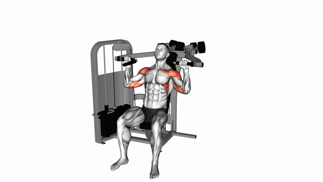 Press de hombros lateral con ambos brazos en máquina Iso