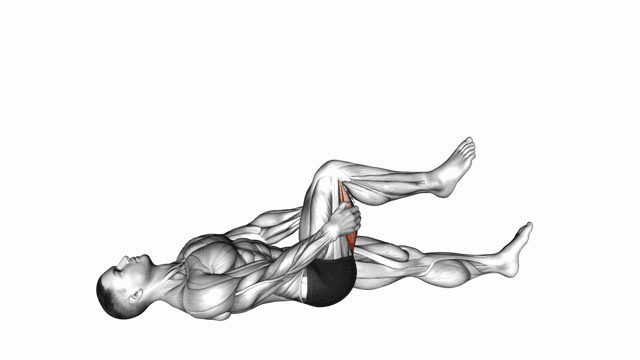 Hamstring Stretch