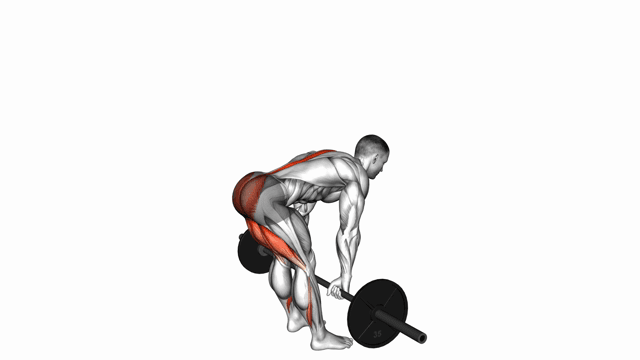 Barbell stiff leg deadlift