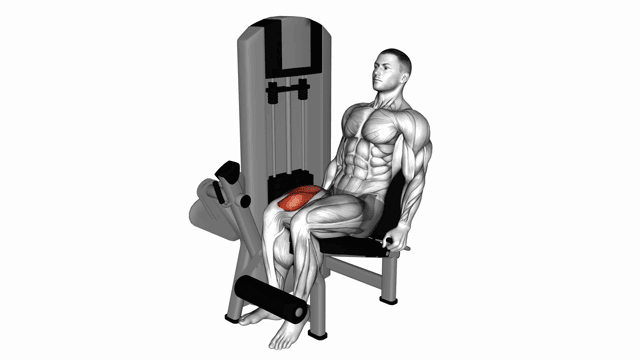 Seated leg extension single leg