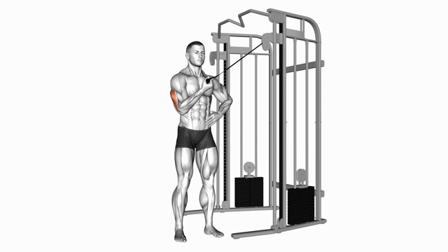 Cable One Arm Side Triceps Pushdown