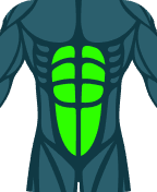 Abdominals
