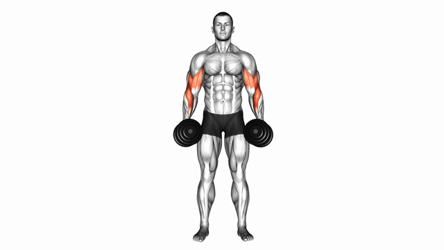 Dumbbell Cross Body Hammer Curl