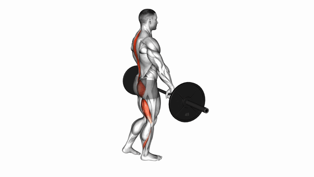 Barbell single leg Deadlift