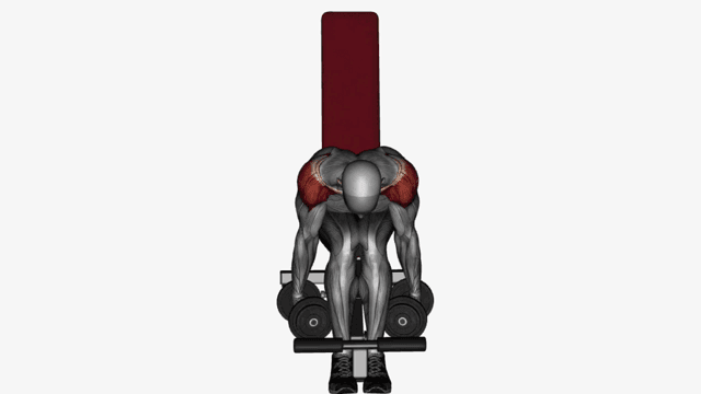 Seated rear delt fly