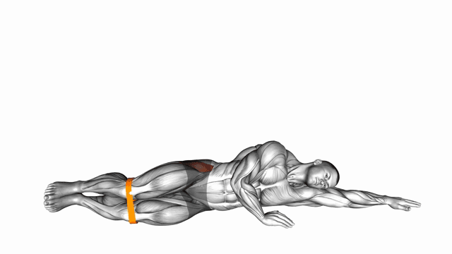 Resistance Band Clam