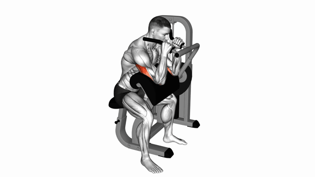 Classic Lever Triceps Extension